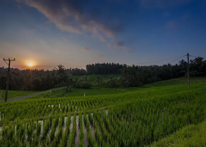 Bali Retreat ロッジ *